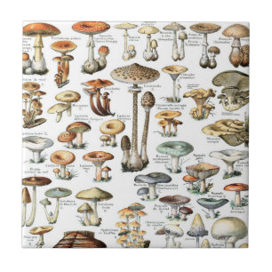 Vintage Mushroom Pattern Tile