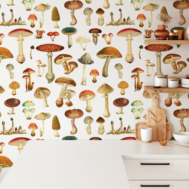 Vintage Mushroom Seamless Pattern Wallpaper (In situ)