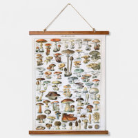 Vintage Mushroom Specimen Hanging Panel 