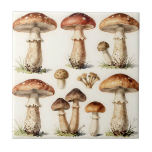 Vintage Mushroom Toadstool Botanical Fungi Tile