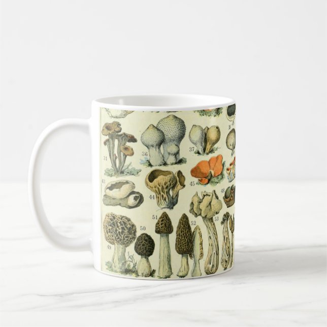 Vintage Mushrooms & Fungi #4 Coffee Mug (Left)