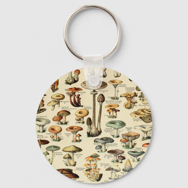 Vintage Mushrooms & Fungi Keychain (Front)