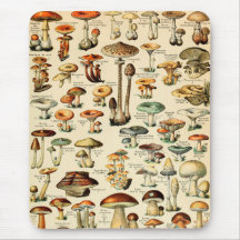 Vintage Mushrooms & Fungi