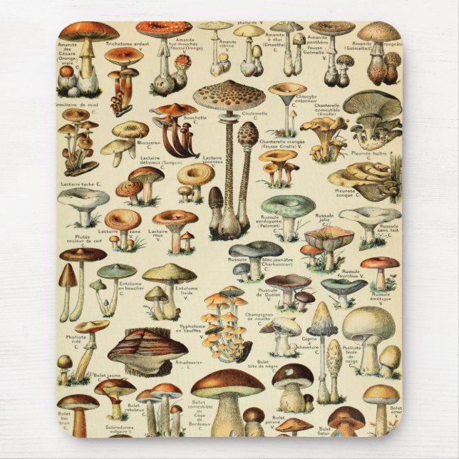Vintage Mushrooms & Fungi Mouse Pad (Front)