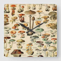 Vintage Mushrooms & Fungi