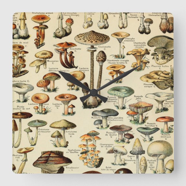 Vintage Mushrooms & Fungi Square Wall Clock (Front)