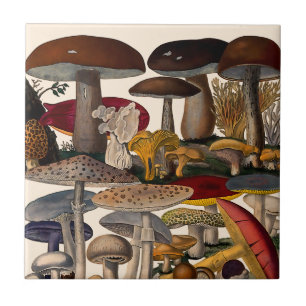Vintage mushrooms illustration tile