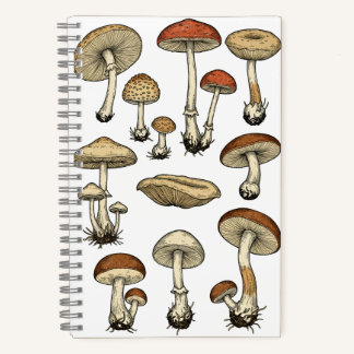 Vintage Mushrooms Notebook