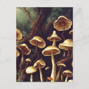 Vintage Mushrooms Postcard