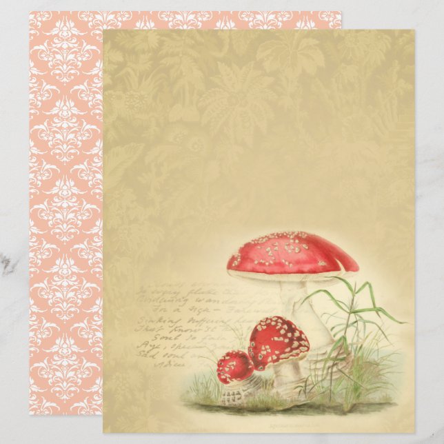 Vintage Mushrooms Scrapbook Paper - Marple Hall (Front/Back)