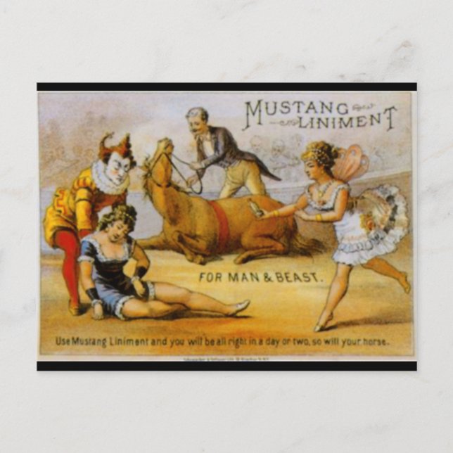 Vintage Mustang Liniment Postcard (Front)