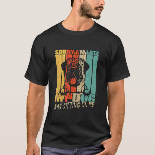 Vintage My Dog Was Sitting On Me English Mastiff O T-Shirt