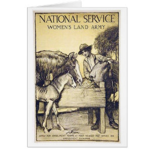 Vintage Naitonal Service Women's Land Army Recruit