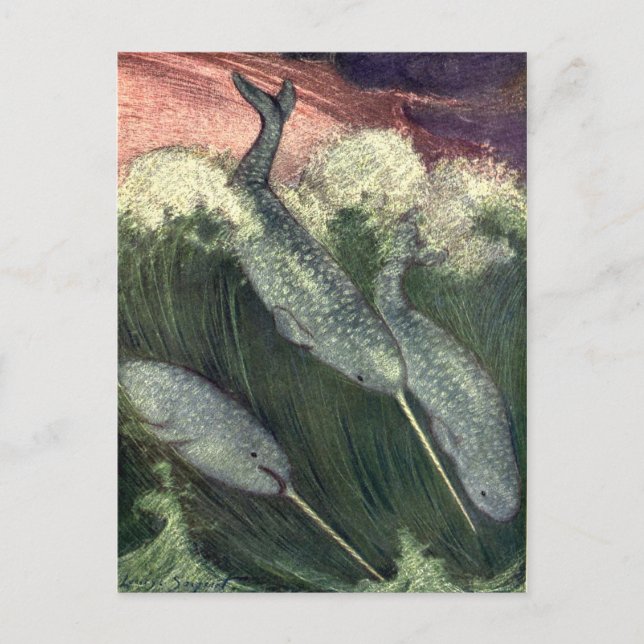 Vintage Narwhals, Marine Life Whales Ocean Animals Postcard (Front)