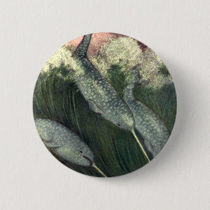 Vintage Narwhals Whales, Marine Life Ocean Animals 2 Inch Round Button
