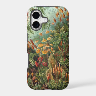 Vintage Nature Art 5