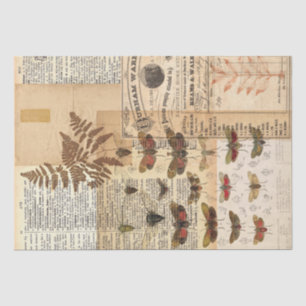 Vintage Nature Collage Tissue Paper