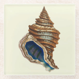 Vintage Nautical George Shaw Blue Conch Shell Art Glass Coaster