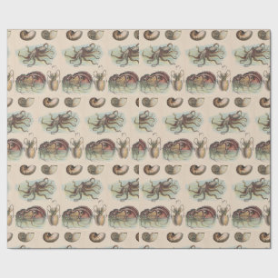 Vintage Nautical - Octopus, Nautilus, Squid (sm) Wrapping Paper