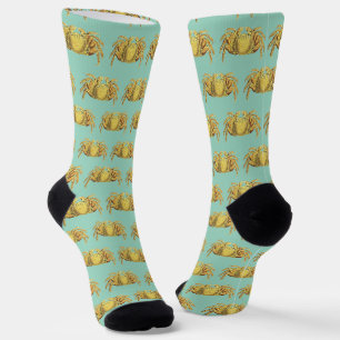 Vintage Nautical Variegated Crab Coastal Wall Art Socks