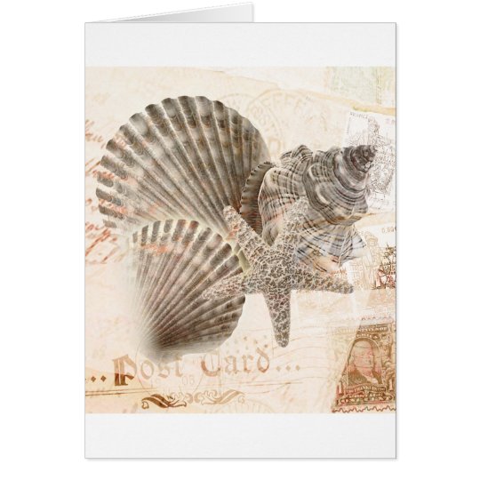Vintage nautilus starfish seashells card
