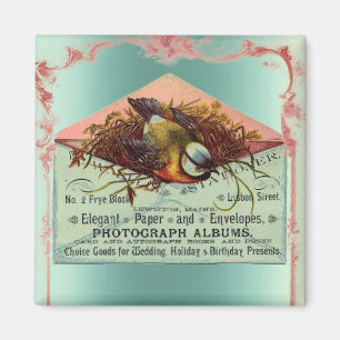 Vintage nesting bird pink teal cute elegant magnet