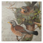 Vintage Nesting Birds Collage Botanical Art Script Tile<br><div class="desc">"Vintage Nesting Birds Collage Botanical Art Script Ephemera ceramic tile." An exquisitely detailed tile that was created out of a larger scale collage of botanical birds, bird's nests, eggs, leaf foliage, trees and script calligraphy, typography advertisements. Soft white and grey calligraphy scroll work finishes off the composition. Graphically designed, by...</div>