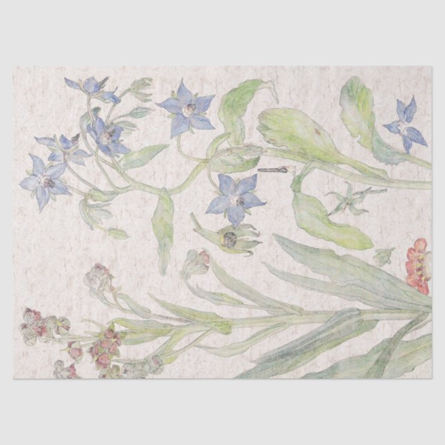 Vintage Nettle Wildflower Flowers Tissue Paper (Front)