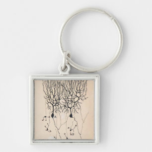 Vintage Neuron Drawing By Santiago Ramón y Cajal Keychain