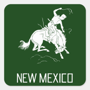 Vintage New Mexico Square Sticker
