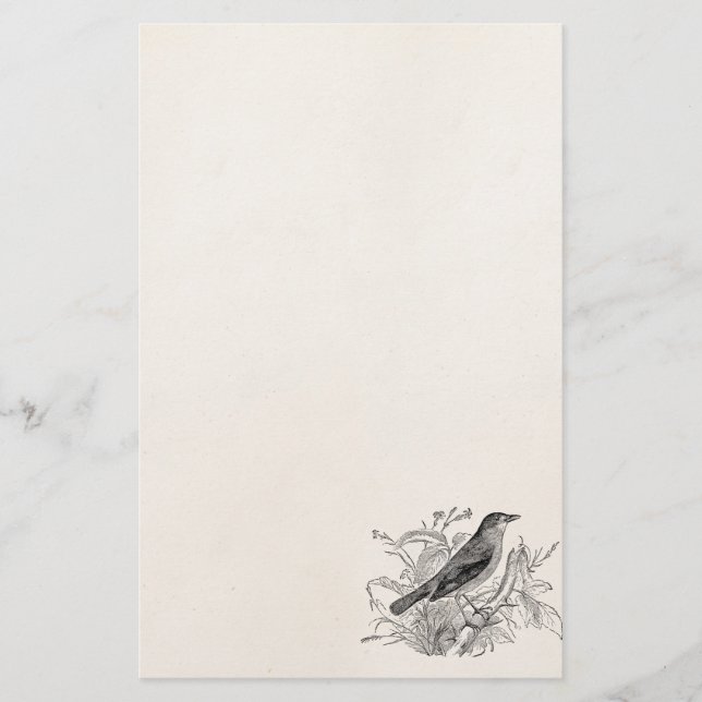 Vintage Nightingale Bird Personalized Retro Birds Stationery (Front)