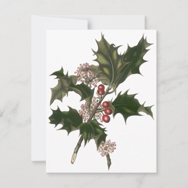 Vintage Noël, Holly Plante Berries Invitation (Devant)