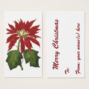 Vintage Noël, Rouge Poinsettia Plante d'hiver