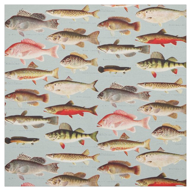Vintage North American Fish Pattern Fabric (Swatch)