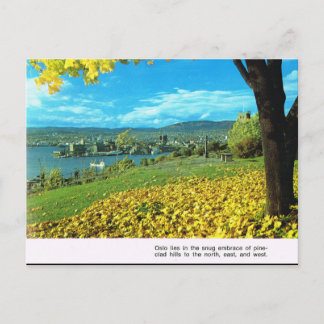 Vintage Norway, First sight of Oslo Postcard