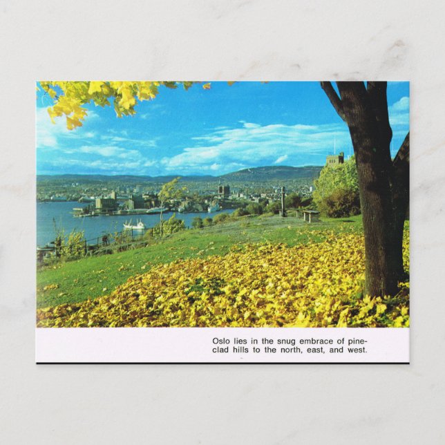 Vintage Norway,  First sight of Oslo Postcard (Front)