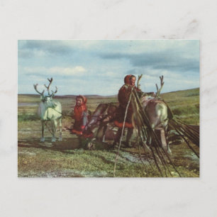 Vintage Norway, Lapland, Sami with reindeer Postcard