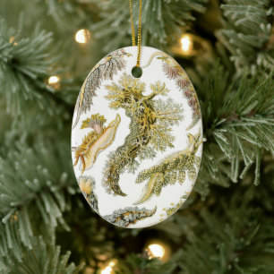 Vintage Nudibranchia, Sea Slugs by Ernst Haeckel Ceramic Ornament