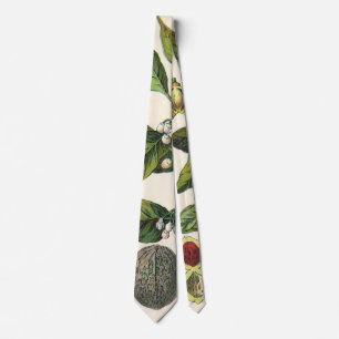 Vintage Nutmeg Plant Fruit Seeds, Food Herbs Spice Tie