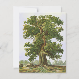 Vintage Oak Tree Blank 4.25"x5.5" Card