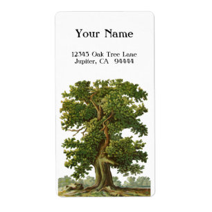 Vintage Oak Tree Custom Address Label