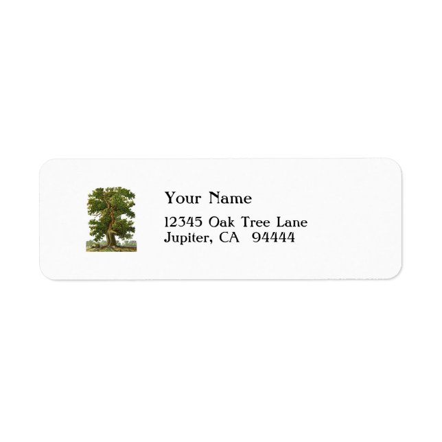 Vintage Oak Tree Custom Address Label (Front)