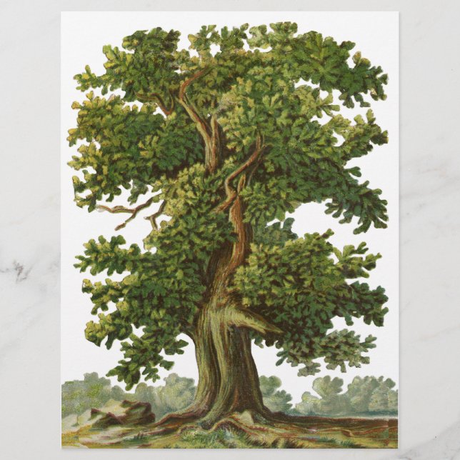Vintage Oak Tree Custom Flyer (Front)