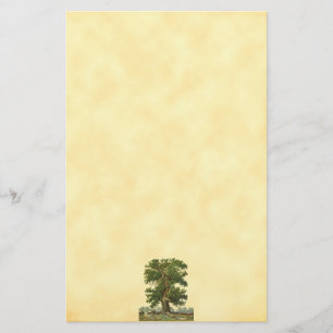 Vintage Oak Tree Faux Parchment Stationery -Lined