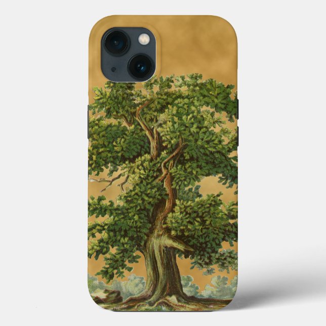 Vintage Oak Tree on Faux Parchment iPhone Case (Back)