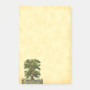 Vintage Oak Tree Post it Post-it Notes