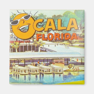 Vintage Ocala, Florida Tourist Boats Sun Magnet