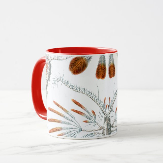 Vintage Ocean Animals, Copepoda by Ernst Haeckel Mug (Front Left)