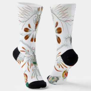 Vintage Ocean Animals, Copepoda by Ernst Haeckel Socks