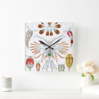 Vintage Ocean Animals, Copepoda by Ernst Haeckel